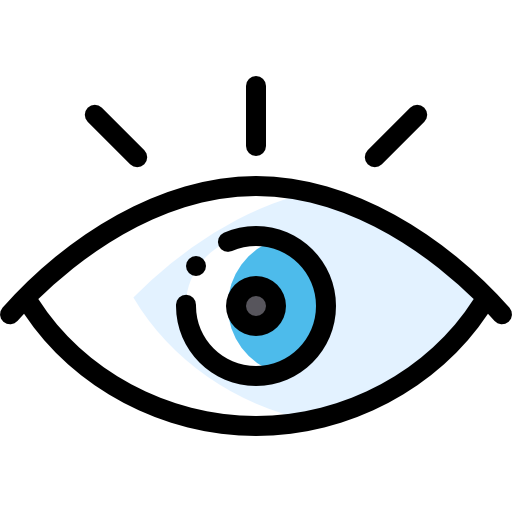 Our Vision